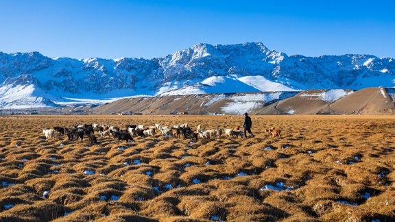 Tadjikistan
